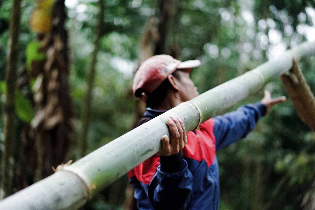 Bambu, Material Alam yang Lebih Sustainable